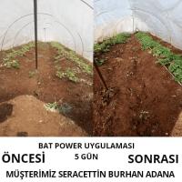 500 Ml Turkuvaz Bat Power Organik Sıvı Yarasa Gübresi